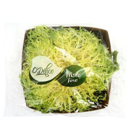 SALADE FRISEE FINE EMBALLEE 6PCS
